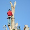 Disa Str - Hermanus - 120_s